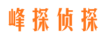 鄂城市场调查